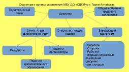 Структура и органы управления МБУ ДО "СДЮТур г. Горно-Алтайска"